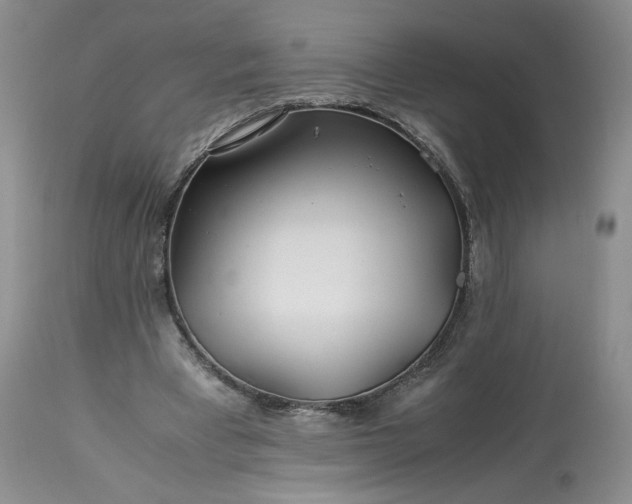 X0000113560393200910021559