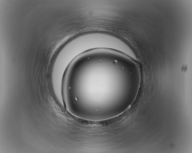 X0000113560395200910021559