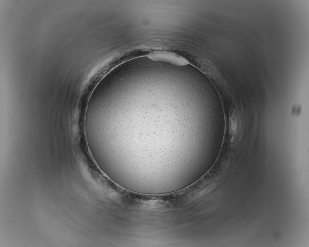 X0000113560396200910021559