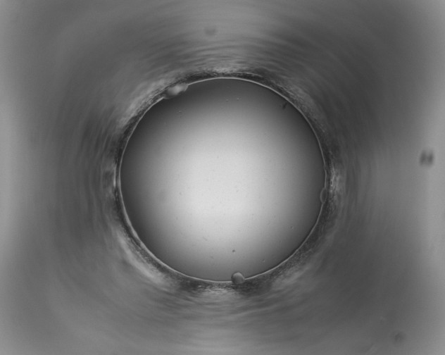 X0000113560397200910021559