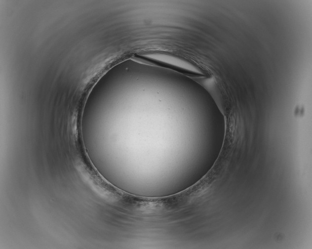 X0000113560398200910021559