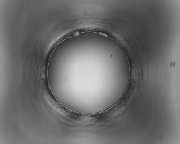 X0000113560399200910021559