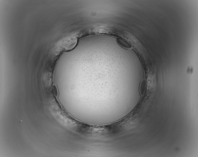 X0000113560401200910021559
