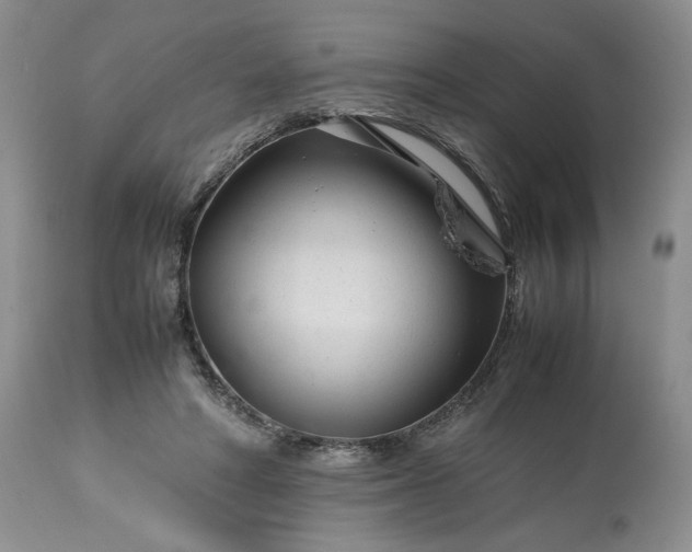 X0000113560402200910021559