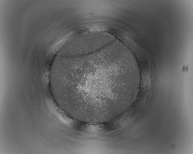 X0000113560405200910021559