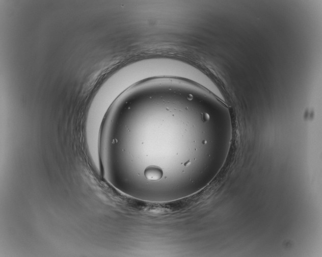 X0000113560407200910021559