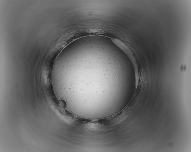 X0000113560408200910021559