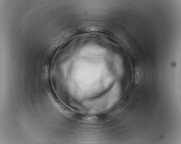 X0000113560410200910021559