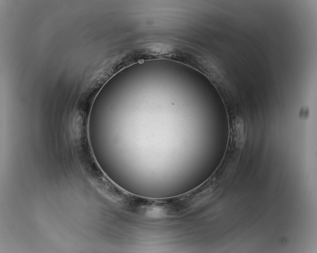 X0000113560412200910021559