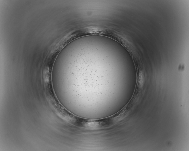 X0000113560413200910021559