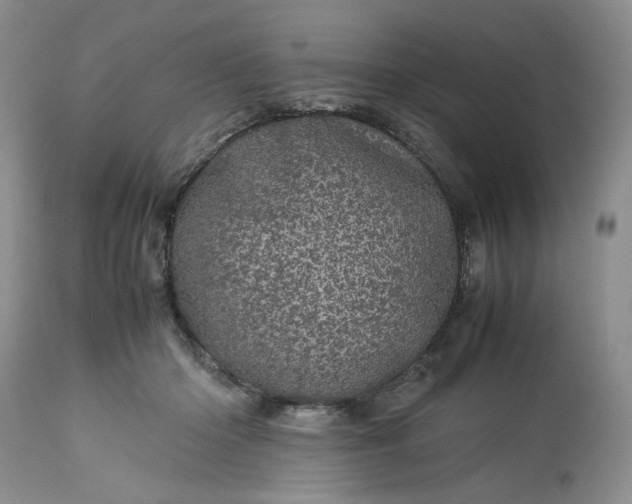 X0000113560414200910021559