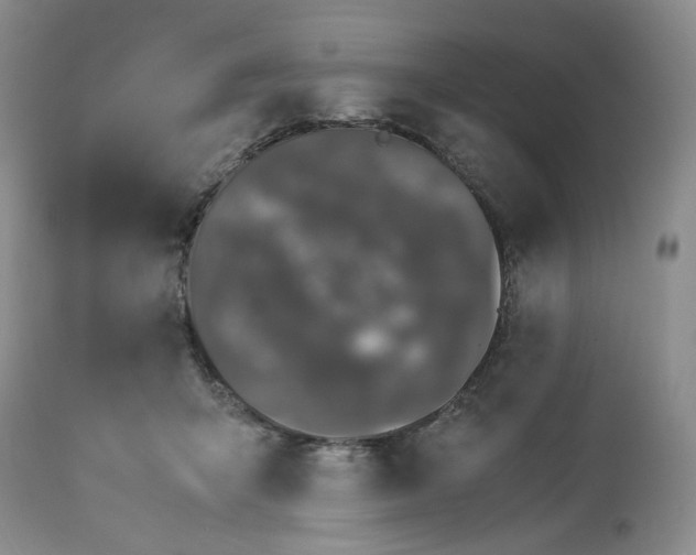 X0000113560415200910021559