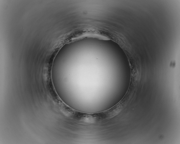 X0000113560416200910021559