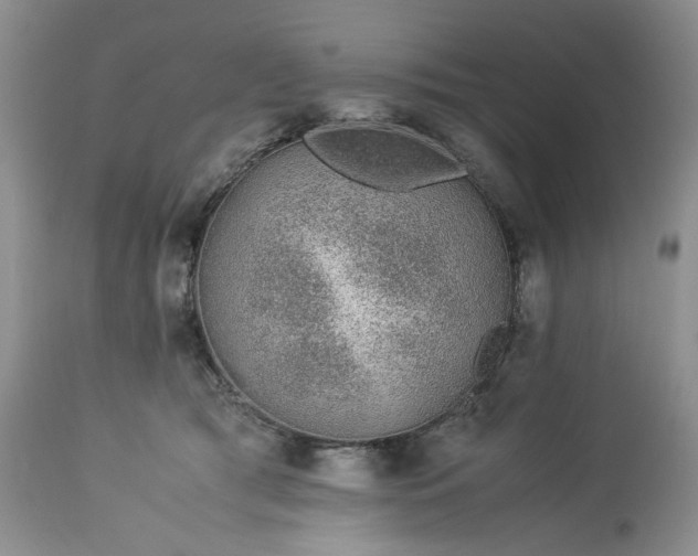 X0000113560417200910021559