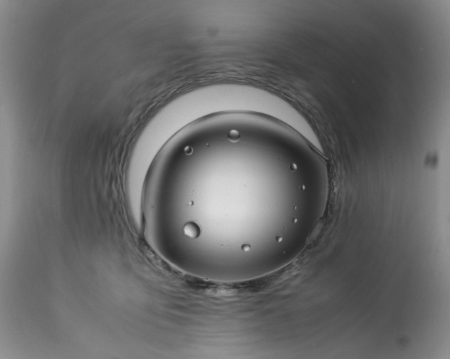 X0000113560419200910021559