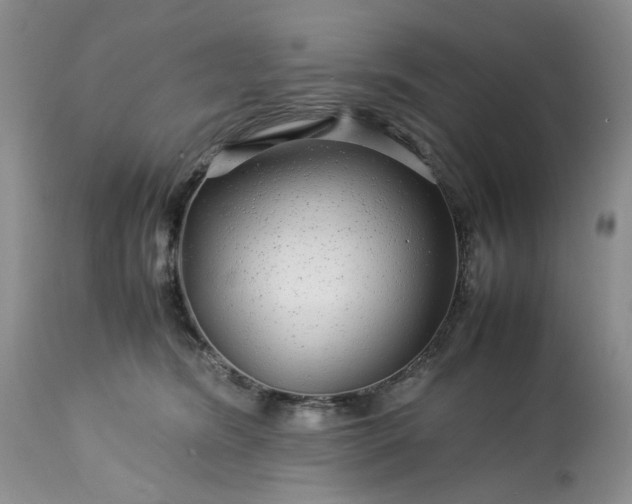 X0000113560420200910021559