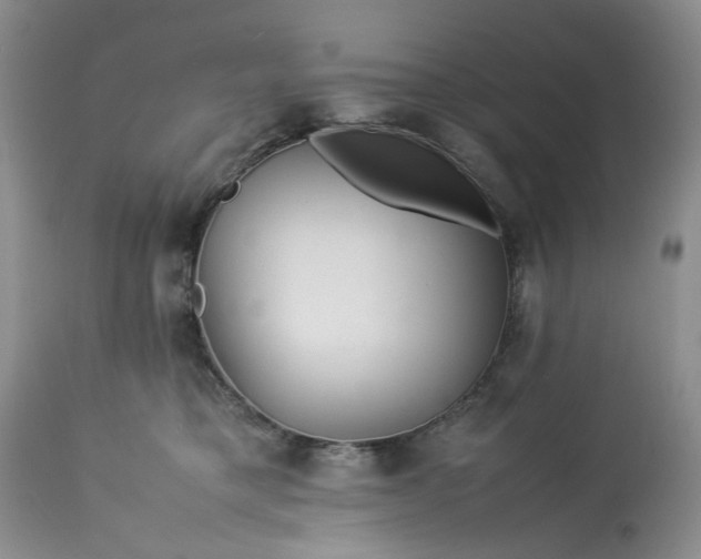 X0000113560421200910021559