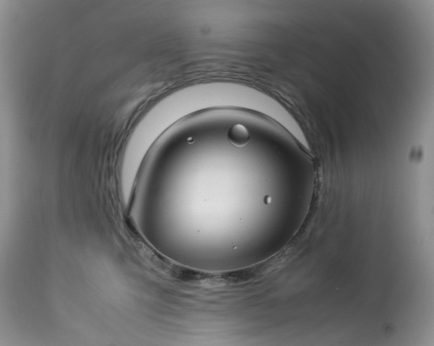 X0000113560423200910021559