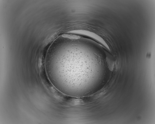 X0000113560424200910021559