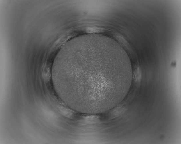 X0000113560426200910021559