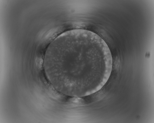 X0000113560427200910021559