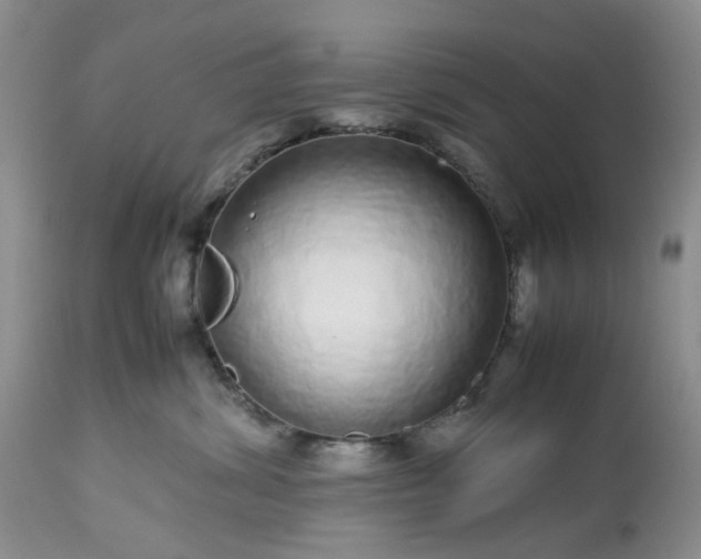 X0000113560428200910021559