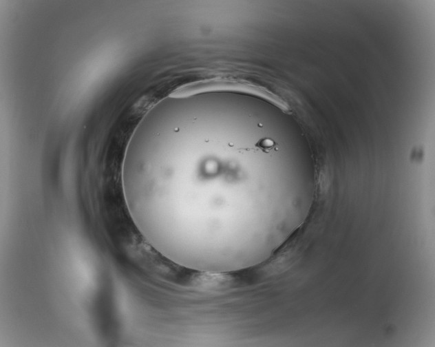 X0000113560429200910021559
