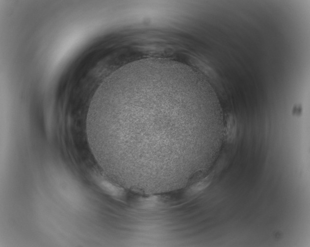 X0000113560430200910021559