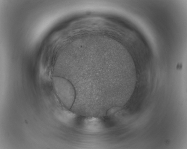 X0000113560431200910021559