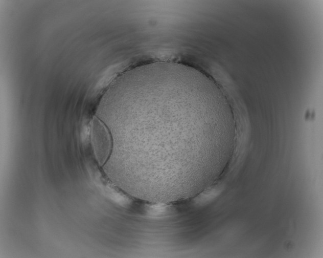 X0000113560432200910021559