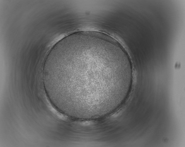 X0000113560433200910021558