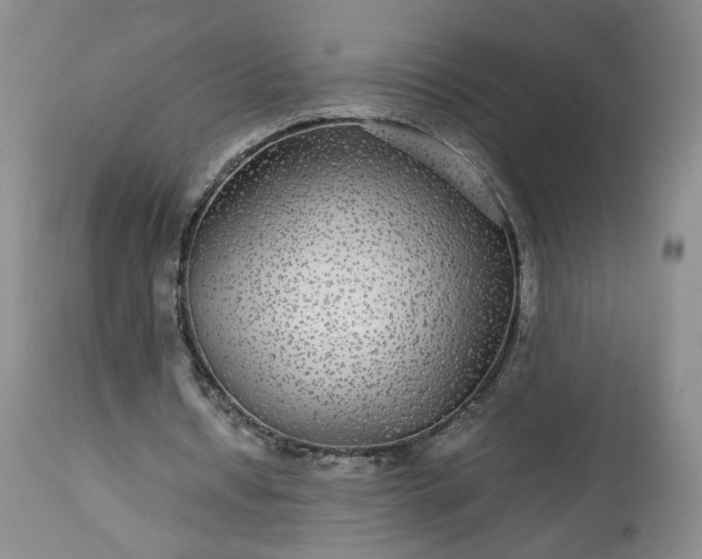 X0000113560434200910021558