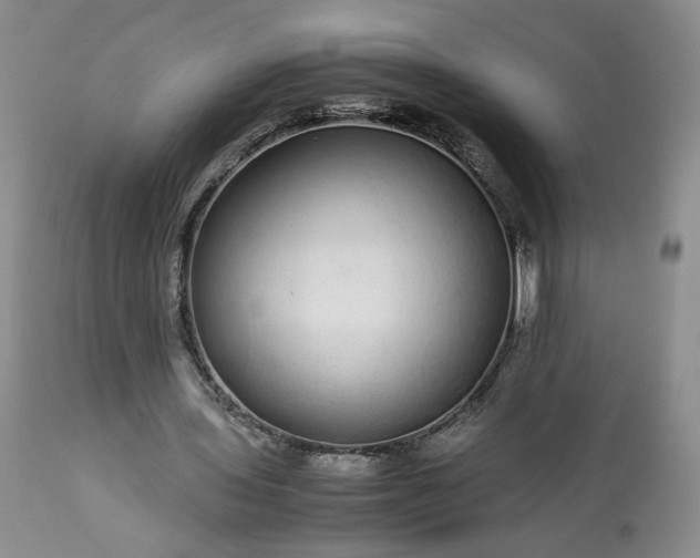 X0000113560435200910021558