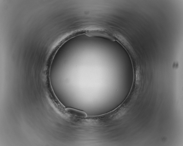 X0000113560436200910021558