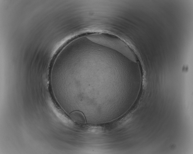 X0000113560438200910021558