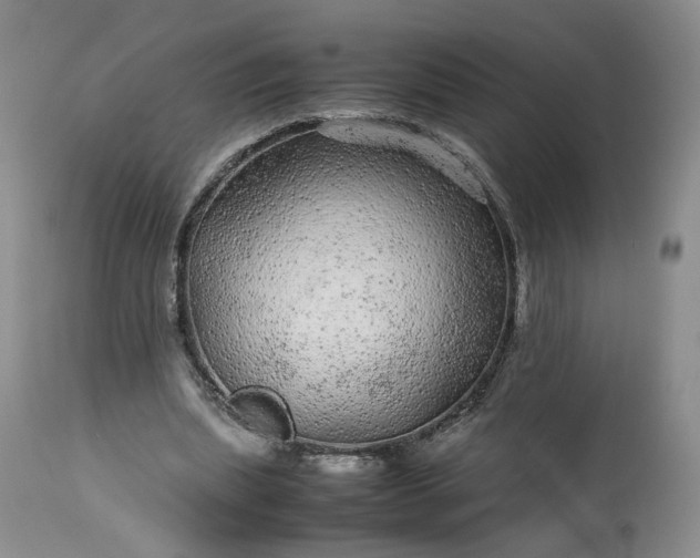 X0000113560439200910021558