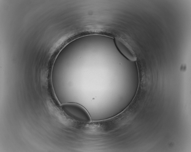 X0000113560440200910021558