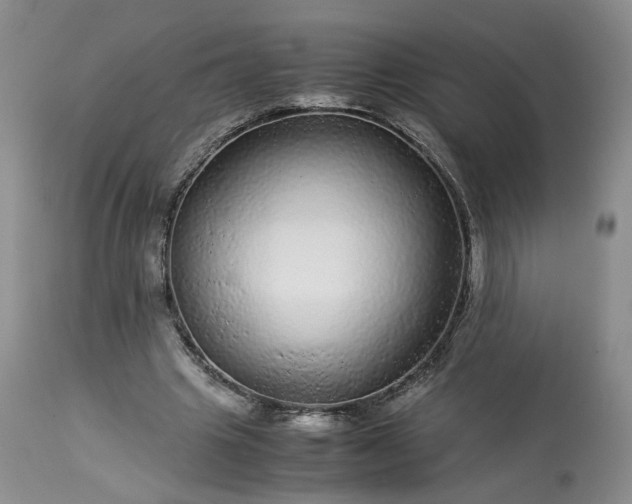 X0000113560441200910021558