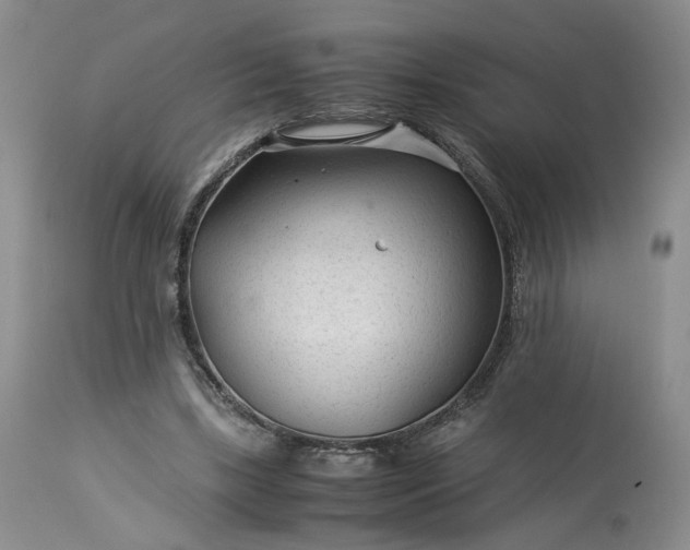X0000113560443200910021558