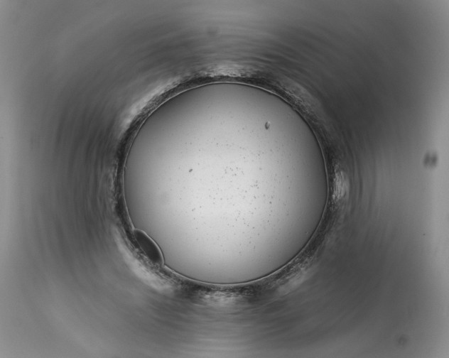 X0000113560444200910021558