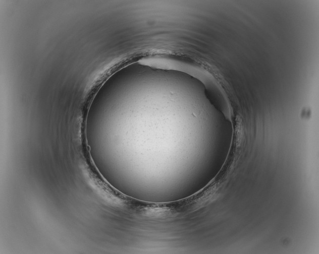 X0000113560446200910021558