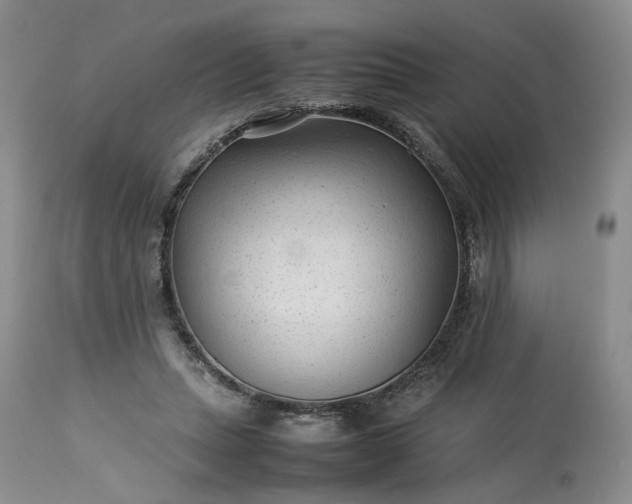X0000113560447200910021558