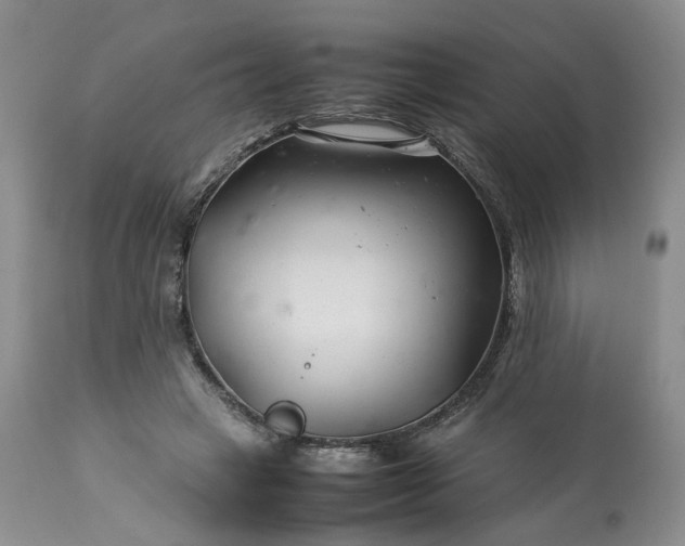 X0000113560449200910021558