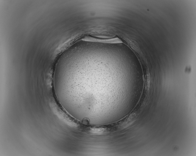 X0000113560450200910021558