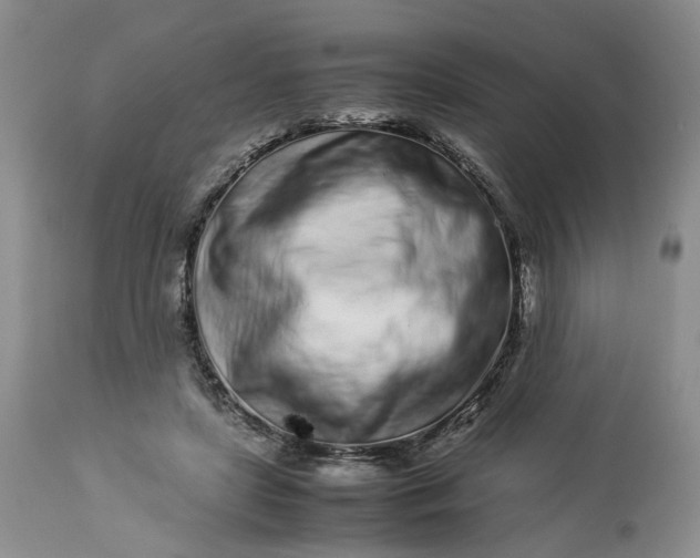 X0000113560451200910021558