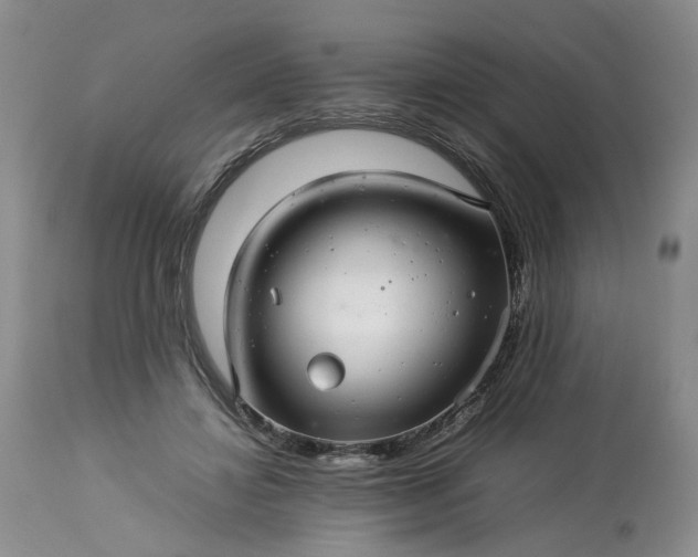X0000113560452200910021558