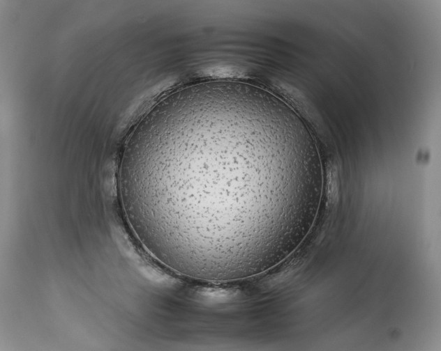 X0000113560453200910021559