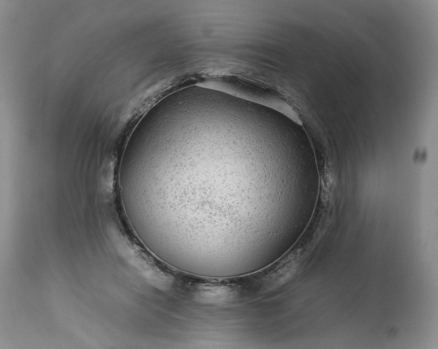 X0000113560454200910021559