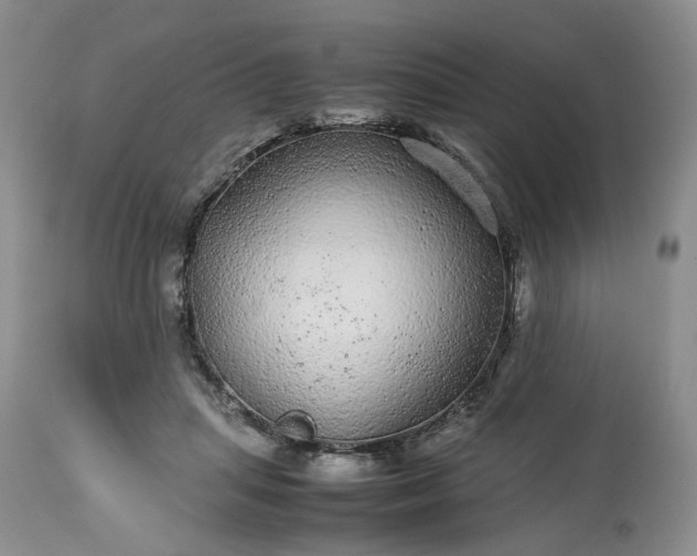 X0000113560455200910021559