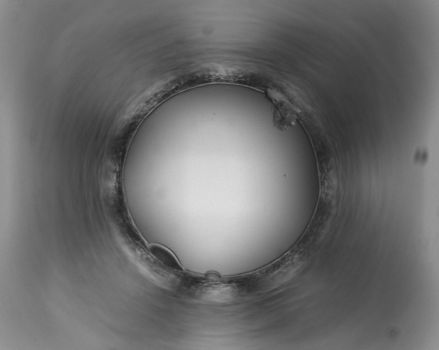 X0000113560456200910021559